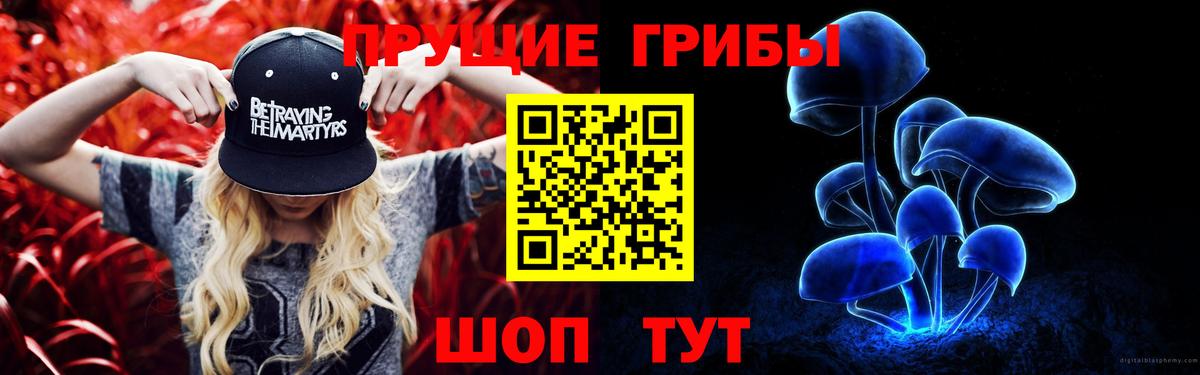 Псилоцибиновые грибы MAGIC MUSHROOMS  закладка  Волжск  Вход с VPN 